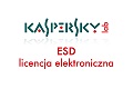 Programy KASPERSKY w wersji ESD